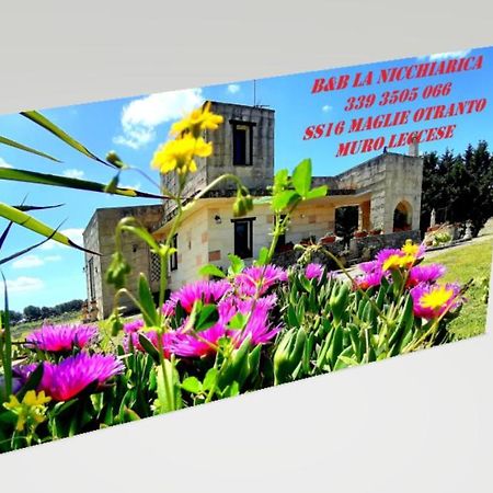 B&B La Nicchiarica Muro Leccese Esterno foto